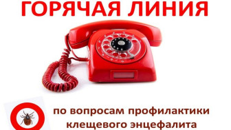 Горячая линия Роспотребнадзора.